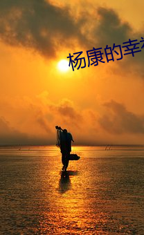 杨(楊)康(康)的(的)幸福生活(活)
