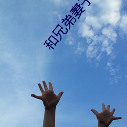 918博天堂·(中国)手机版客户端
