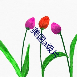 美國a級片