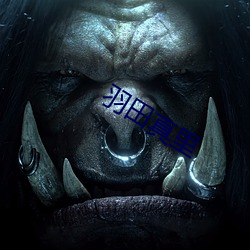 羽田真(zhēn)里(lǐ)