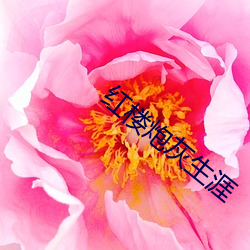 vwinӮ(й) - ٷվ