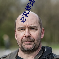 总裁离婚请签字
