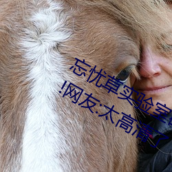 忘忧(yōu)草实验(yàn)室研究(jiū)所网页入口画面升级!网友:太高清了