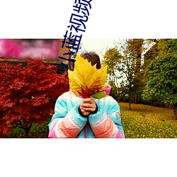 vwinӮ(й) - ٷվ