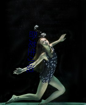卧龙生小说