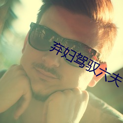 弃妇驾驭六夫