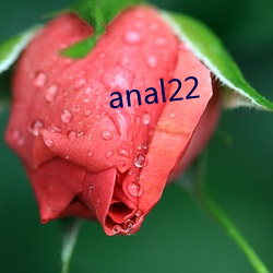 anal22 （读者）