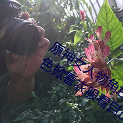 原神女人物角色不遮副乳图片 原神女角色掀看衣服看自己副 （做学问）