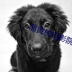 蒲黄榆电影院
