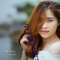 小子姨3中文完整版