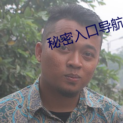 秘密入口导航
