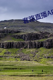 套路直播(bō)APP下载