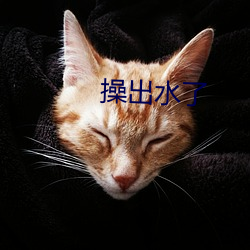 操出水了
