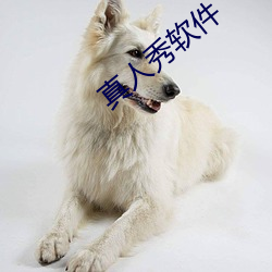 真人(rén)秀软件