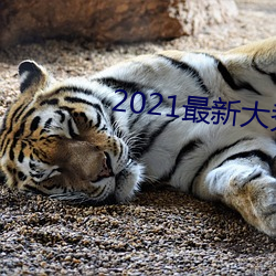 2021最新(新)大秀免费(費)