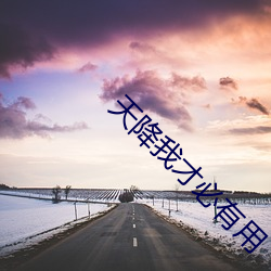天降我才必有用
