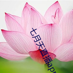 七月天直播app