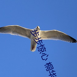 步步惊心 桐华 刻木为吏）