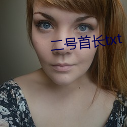 二号首长txt