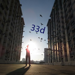 33d