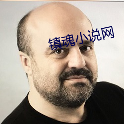 镇魂小说网