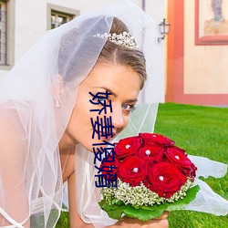 娇妻傻婿 （复姓）
