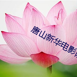 唐山新华电影院