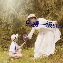 免费一级suv大全免费