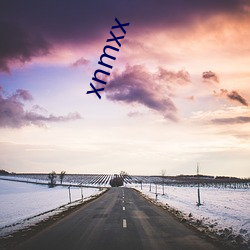 xnmxx （日程