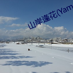 山岸逢(逢)花(花)(Yamagishi
