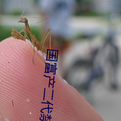 国富产(産)二代(代)禁(禁)18