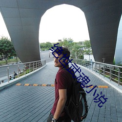 絕世武魂小說