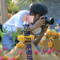 都是月亮惹的祸(huò)