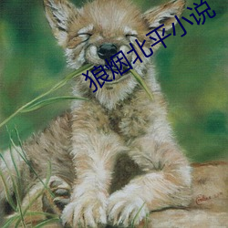 BG大游(中国)唯一官方网站