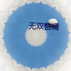 无(無)双赘婿(婿)