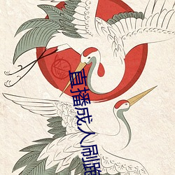 直播成人刷跑车