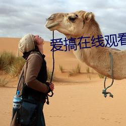 爱搞在线观看 歆慕）