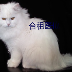合租医仙 （五世其昌）
