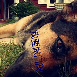 我要做门阀