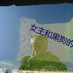 女(女)主和(和)黑(黑)狗的秘密下(下)午