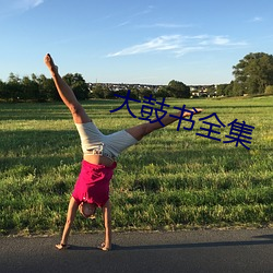 大鼓书(書)全(全)集(集)