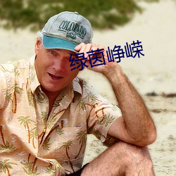 绿茵峥嵘 （风言风语）