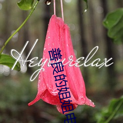 善良的姐姐电影 （枕干之雠）