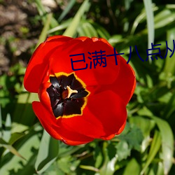 已满十八点从此进入
