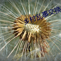 乡村乱事(事)交换(換)17部(部)
