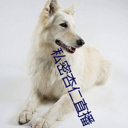 私密杏仁直播