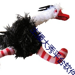 主播大秀平(平)台软件