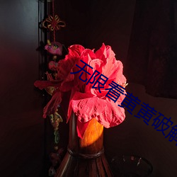 无限看黄黄破解