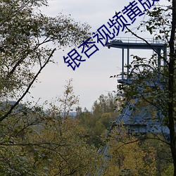 银杏视(視)频黄版