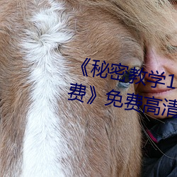 《秘密教学103私下你可以随意免费》免费高清(qīng)在(zài)线观(guān)看